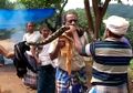 Mengira Sedang Menarik Seutas Kain, Pria Ini Dililit Piton Raksasa Sepanjang 3 Meter dari Semak-semak, Beginilah Kondisinya