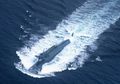 Kapal Selam Nuklir Pembawa Rudal Balistik China 'Mengintip' dalam Insiden Laut China Selatan, Sebuah Ancaman Serius?
