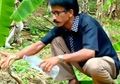 (Video) Seperti Mengabaikan Keselamatan Sendiri, Petugas Hutan Ini Memberi Minum Ular Kobra yang Kehausan