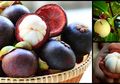 Mudah Ditemui di Indonesia, Buah Manggis yang Jadi 'Ratu Buah' Ini Miliki Manfaat Kesehatan Luar Biasa, Termasuk Antikanker dan Kecantikan Kulit