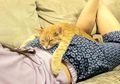 Lucu Banget, Ini 7 Foto Hewan Tidur yang Bakal Bikin Kamu Ingin Ikutan