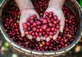 Investree Garap Green Financing Bersama Java Mountain Coffee di Four Seasons Resort Bali