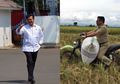 Foto Jadulnya Dalam Balutan Baju Dinas Mengusung Gabah di Sawah Beredar Luas, Siapa Sangka Gubernur Ini Sekarang Dipilih Jokowi Jadi Menteri Pertanian, Bukan Sosok Sembarangan Anak Pejuang Kemerdekaan