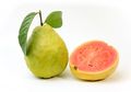#5MenitAja Minum Jus Daun Jambu Biji dan Rasakan Khasiat Menakjubkannya untuk Tubuh dan Kulit!