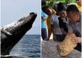 Temukan Muntahan Paus Berbau Busuk, Tak Disangka Benda Tersebut Bisa Bikin Pria Ini Kaya Mendadak