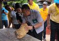 Dapat Durian Runtuh, Kisah Nelayan Mendadak Jadi Kaya Raya setelah temukan 'Kotoran Termahal di Dunia' Seharga Rp4,5 Milliar, Mengapa Bisa Semahal Itu?