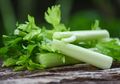 #5MenitAja Membuat Berbagai Ramuan Berbahan Seledri, Cara Ampuh untuk Hilangkan Berbagai Penyakit