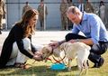 Pangeran William dan Kate Middleton Pilih Rumah Kayu Terpencil di Tengah Hutan untuk Kencan Romantisnya