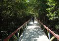 Berkunjung ke Kolak Sekancil, Wisata Sambil Melestarikan Hutan Mangrove