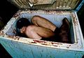 Inilah Rumah Hantu Paling Mengerikan di Dunia, Jika Berani Masuk Hadiahnya Rp270 juta, Namun Marinir AS Saja Dibuat Ketakutan