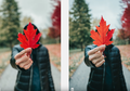 Gokil, Hasil Foto iPhone 11 Pro Menyerupai Jepretan DSLR Ratusan Juta!
