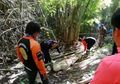 Wisatawan Ketakutan Lihat Pemandu Wisata Disengat Tawon Hingga Mati, Para Tawon Kemudian 'Berpesta' di Tubuhnya Selama 4 Hari