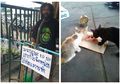 Pria Tunawisma Ini Rela Jualan Jeruk Demi Beri Makan Kucing Liar Tanpa Pikirkan Diri Sendiri, Nasib hingga Penampilannya Berubah Usai Kisahnya Viral!
