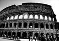 Bukan Sekadar Arena Bagi Gladiator, Ini Cerita Lain di Balik Colosseum