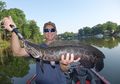 Dapat Hidup di Darat dan Tumbuh Sepanjang 1 Meter, Ikan Predator Paling Menyeramkan di AS Ternyata Berasal dari Indonesia