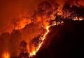 Bukan Sekadar Udara Bertambah Panas, Faktanya Dampak Kerusakan Hutan 600 Kali Lebih Menakutkan dari yang Dibayangkan, Bom Waktu pun Siap Meledak!