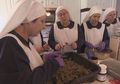 Berpenampilan Bak Biarawati, Sejatinya Mereka adalah Suster yang Percaya Keajaiban Daun Ganja