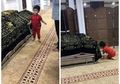Tak Sadar Kedua Orangtuanya Telah Tiada, Bocah Ini dengan Riang Gembira Berlarian Kelilingi Keranda Ayah dan Ibunya