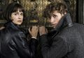 Setelah Ditunda Dua Tahun, 'Fantastic Beasts 3' Siap Shooting 2020