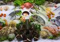 Memasuki Musim Hujan, Sebaiknya Hindari Konsumsi Jenis Makanan Ini