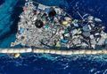 Sekelompok Paus Terlihat Berenang di 'Pulau Sampah' Samudra Pasifik