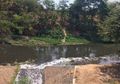 Hitam Pekat dan Bau Alkohol, Kondisi Sungai Bengawan Solo Memprihatinkan