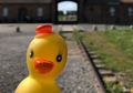 Posting Foto dengan Bebek Karet Tersenyum di Tempat Ini, Pengguna Instagram Hadapi Kemarahan Publik, Apa Masalahnya?