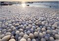 Fenomena Langka, Ribuan 'Telur Beku' Ini Tutupi Permukaan Pantai Finlandia yang Luas, Kok Bisa?