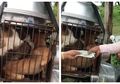 Seorang Pria Rela Keluarkan Banyak Uang untuk Beli 9 Ekor Anjing dari Penjual Daging, Alasannya Sungguh Mulia!