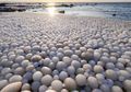 'Telur Es' Membanjiri Pantai di Finlandia, Apakah Penyebabnya?
