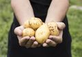 Sering Dianggap Bikin Gemuk, 5 Makanan yang Kerap Dihindari Ini Justru Mampu Turunkan Berat Badan dengan Cepat, Apa Saja?