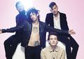 Kepedulian The 1975 Pada Perubahan Iklim Bikin Para Fans Adakan Tanam Pohon Massal
