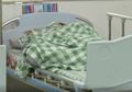 Dokter THT Kaget ketika Memeriksa Telinga Seorang Pria, Ternyata Isinya Banyak Binatang Ini!