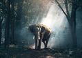 Tafsir Mimpi Melihat Gajah, Benarkan Hal ini Malah Sebuah Pertanda Baik?