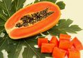 Manfaat Pepaya untuk Diet, Ampuh Turunkan Berat Badan Hanya dalam Hitungan Hari! Tertarik Mencoba?