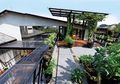 Kenali Jenis Tanaman yang cocok dan Lokasi yang Tepat Untuk Urban Farming,