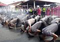 Polisi Kini Wajib Hidup Sederhana, Petugas yang Pamer Kekayaan di Sosial Media Bisa Dipenjara, Ini Alasannya
