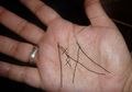 Cek Telapak Tangan Anda! Ini 'Makna Khusus' di Balik Tanda Garis Tangan 'M' yang Jarang Dimiliki Orang