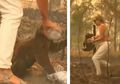 Terobos Kebakaran, Wanita Ini Dibanjiri Pujian karena Pertaruhkan Nyawa untuk Selamatkan Koala