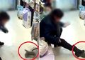 Pet Shop Tolak Refund, Cewek Ini Lempar dan Injak Anak Kucing yang Dibelinya