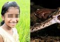 Kalau Saja Gurunya Tidak Menganggap Aduannya Sebagai Candaan, Nyawa Murid SD Itu Pasti Selamat dari Gigitan Ular