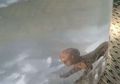 Ngaku Berhasil Tangkap Tuyul, Video Warga Gunung Kidul ini Jadi viral, Netizen: Eropa Bikin Helikopter, Indonesia Masih Mistis