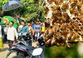 Sebelum Meninggal Miliki Gelagat yang Tak Biasa, Pasangan Suami Istri Tewas Diserang Amukan Serangga Mematikan Ini, Sang Kakak: 'Tumben...'