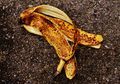 Tau Nggak? Minum Rebusan Kulit Pisang Ternyata Banyak Manfaatnya Lho