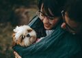 Endusan Anjing Peliharaan Deteksi Kanker Ovarium Pada Wanita, Majikannya Berhutang Nyawa