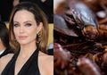 Angelina Jolie Senang Makan Kecoa dan Sebut Rasanya Enak, Ini Manfaat Makan Serangga Menurut FAO