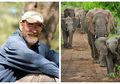 Kawanan Gajah Ini Lakukan Ritual Unik Tiap Tahunnya untuk Hormati Teman Manusianya yang Telah Meninggal 7 Tahun Lalu