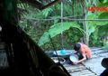 Bocah 10 Tahun Hidup Sebatang Kara dan Tak Mau Diadopsi, Dia Memilih Bertahan Hidup dengan Mengandalkan Alam Seperti Ini