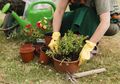 Inilah 5 Zodiak yang Paling Pandai Berkebun, Menghabiskan Waktu di Kebun adalah Kebahagiaan Bagi Mereka!