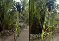 Bocah Ini Kayuh Sepeda Setinggi 3 Meter, Netizen Takjub dengan Cara Pas Naik dan Turun